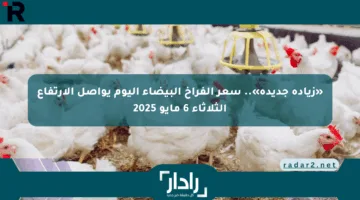 «زيادة جديدة».. سعر الفراخ البيضاء اليوم يواصل الارتفاع الثلاثاء 6 مايو 2025